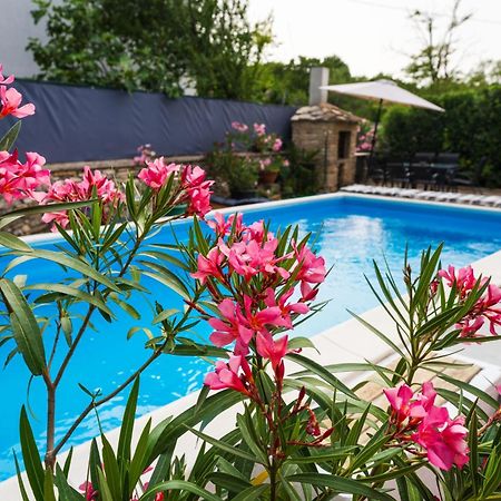 Ferienhaus Jadranka Kistanje Ngoại thất bức ảnh