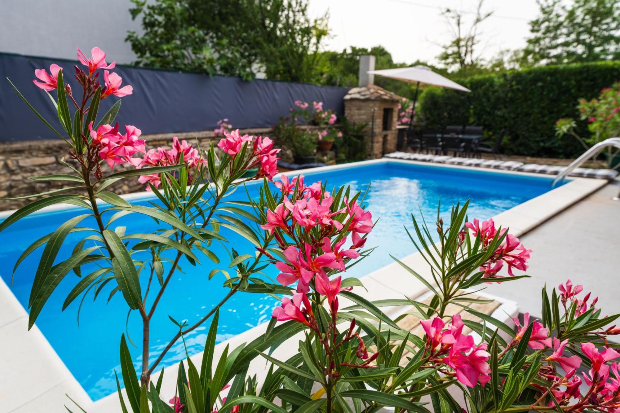 Ferienhaus Jadranka Kistanje Ngoại thất bức ảnh
